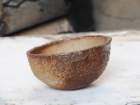 ja0179_small.jpg